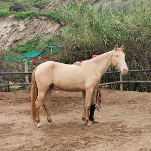 IMG 20260302 194051 resized 20260306 051230619