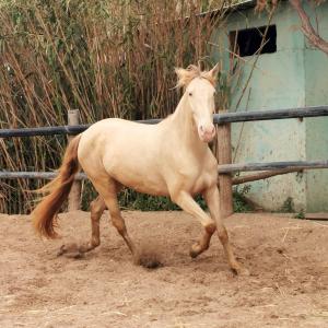IMG 20260302 194755 resized 20260306 051230376