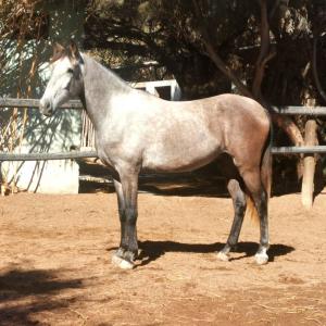 Rondundes-17-FILEminimizer