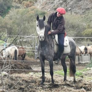 Triana-2